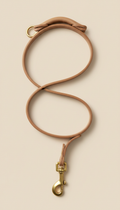 Refined Leather and Brass Leash